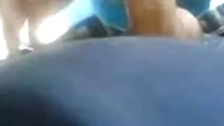 Ela deixou o trabalho no jardim e começou filme pornô da mulher pelada a lamber a buceta de um amigo de férias