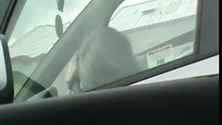 A rapariga adora filme pornô homem com mulher leopardos e fode um tipo de estilo agressivo